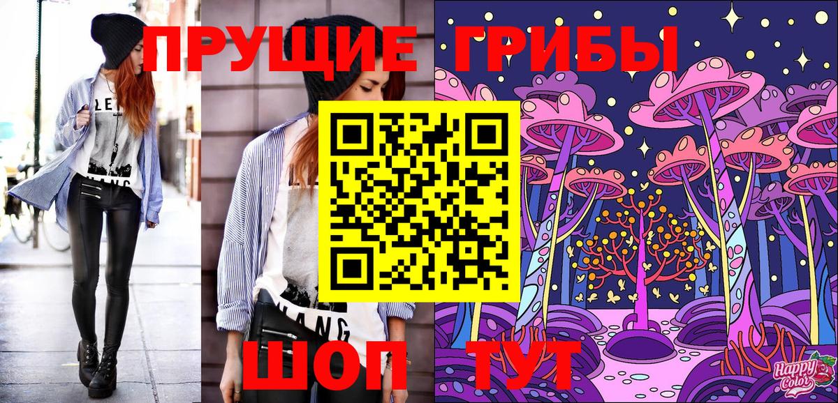Псилоцибиновые грибы Psilocybine cubensis  Вход с VPN  Псилоцибиновые грибы прущие грибы  Славянск-на-Кубани 